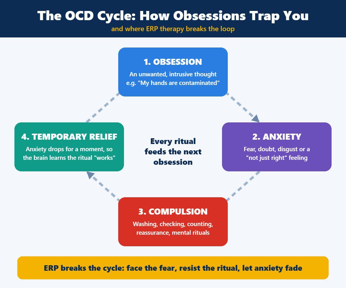 OCD cycle infographic showing obsession, anxiety, compulsion and temporary relief, and how ERP therapy breaks it